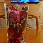 Brunarica Jersin Dağ evi Cerkno