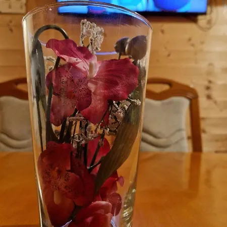 Brunarica Jeršin Chalet Cerkno