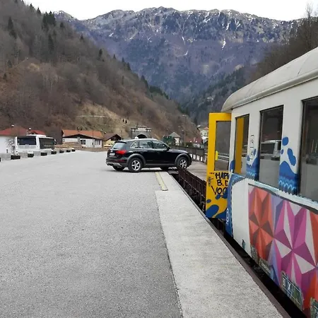 Brunarica Jersin 采尔克诺