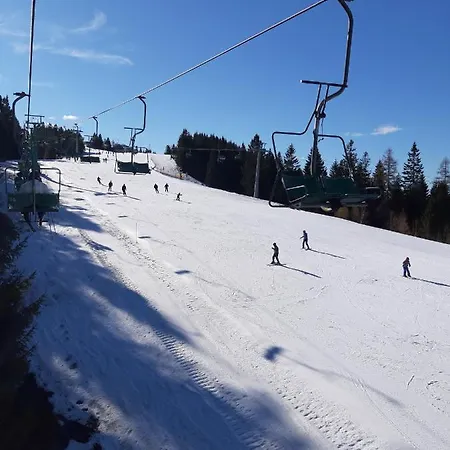 Chalet Brunarica Jersin