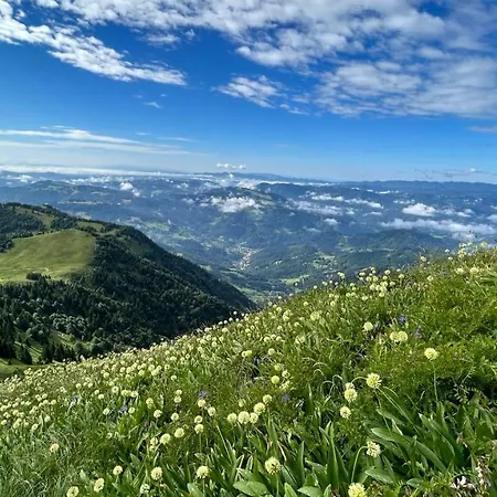 Brunarica Jeršin Chalet