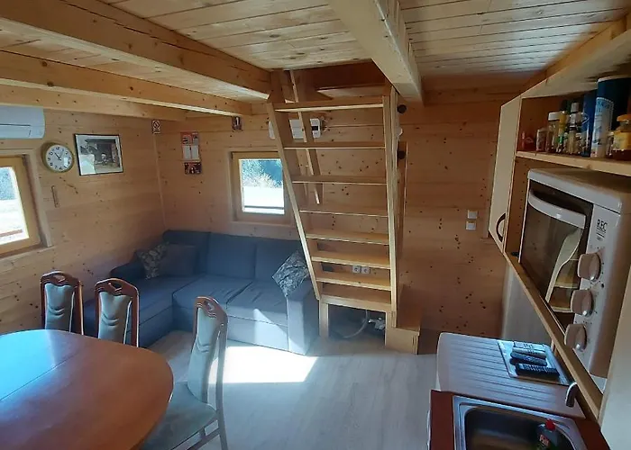 Brunarica Jersin * ツェルクノ