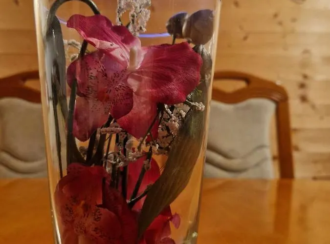 Brunarica Jersin シャレー ツェルクノ