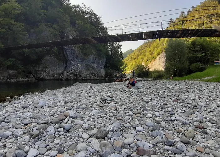 Brunarica Jersin * ツェルクノ